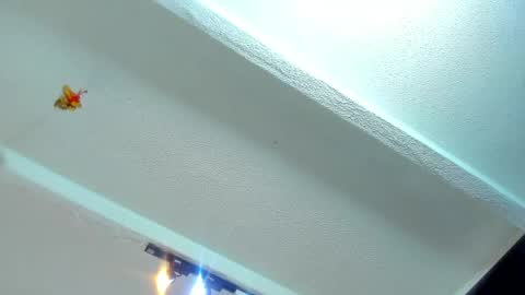 Snapshot of tafari_1 chatting on 05/22/26, 11:05 Tafari Zulu online show from 05/22/26, 11:05