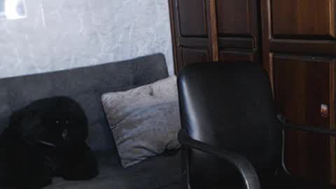 Tairon Tucke online show from 12/18/24, 01:48