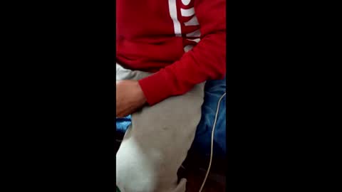 Snapshot of taitotoito chatting on 01/16/26, 02:04 Taitotoito online show from 01/16/26, 02:04