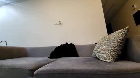 Snapshot of talacros chatting on 02/25/25, 11:55 Tala online show from 02/25/25, 11:55