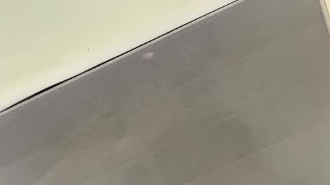 tali  online show from 11/01/25, 03:36