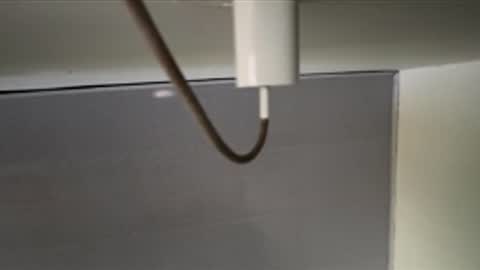 tali  online show from 04/08/26, 12:16