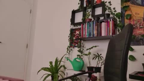 Tali Majid online show from 01/06/26, 05:33