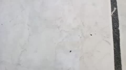 tall6feet7inch online show from 09/14/25, 11:42