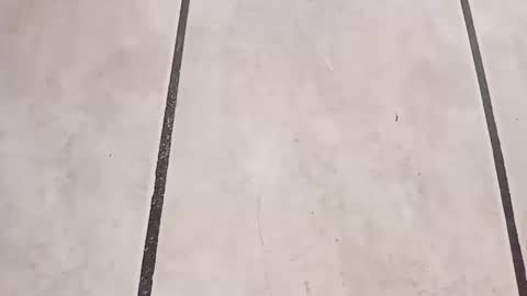 tall6feet7inch online show from 09/24/25, 10:29