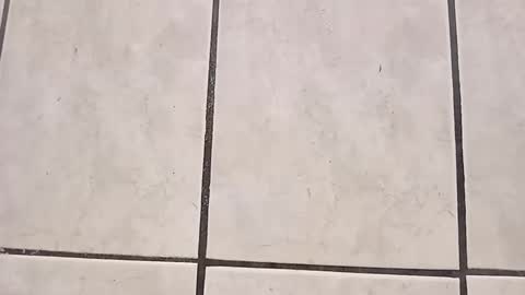 tall6feet7inch online show from 09/28/25, 08:03