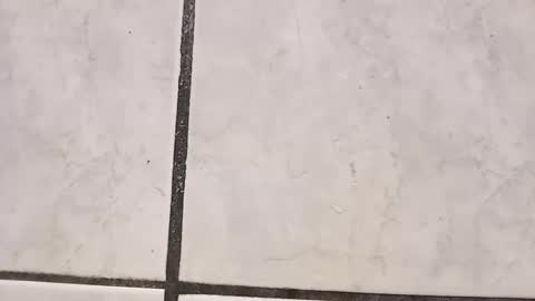 tall6feet7inch online show from 09/29/25, 08:41