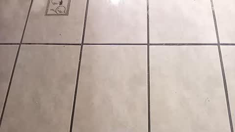 tall6feet7inch online show from 10/01/25, 09:04