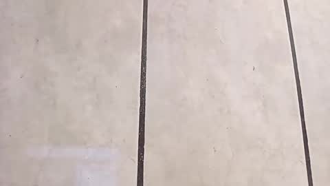 tall6feet7inch online show from 10/06/25, 12:02