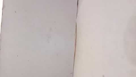 tall6feet7inch online show from 02/01/26, 10:08