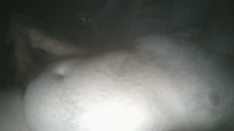 tallicas2000 online show from 07/16/26, 01:44