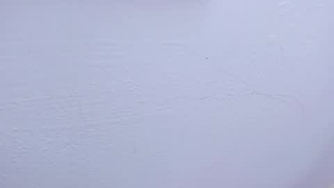 Tamara online show from 02/09/25, 09:47