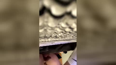 tampa0boner0donor online show from 01/19/26, 05:22