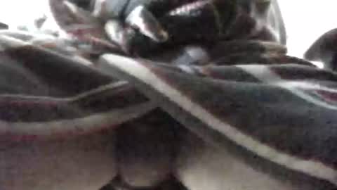 Patrick online show from 02/16/25, 07:48