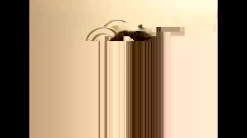 Snapshot of tastytexas24 chatting on 02/09/26, 12:47 tastytexas24 online show from 02/09/26, 12:47