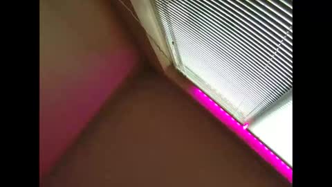 Beliqnegar online show from 03/01/26, 07:10