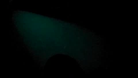 Beliqnegar online show from 07/04/26, 07:42