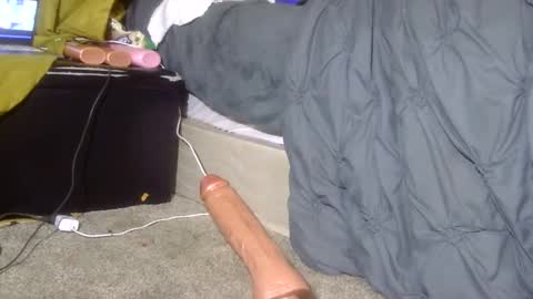 tatted teddy online show from 05/10/26, 05:01