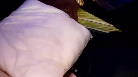 Snapshot of tattooman777 chatting on 10/31/25, 06:58 Jean pool online show from 10/31/25, 06:58