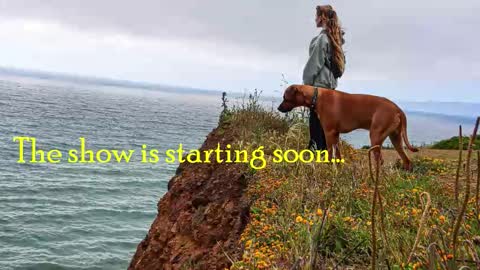 TATUM  ALL MY LINKS  online show from 02/07/26, 12:25