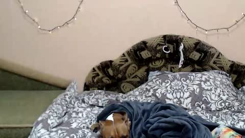 Taya online show from 01/05/26, 08:34