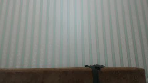 Snapshot of tayler_durden_1 chatting on 12/20/24, 05:57 ... online show from 12/20/24, 05:57
