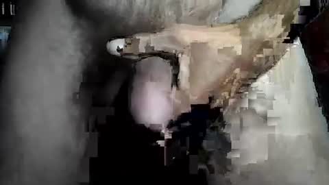 taylor3made online show from 02/22/26, 08:46