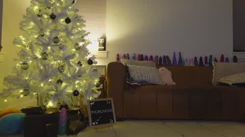 Taylor --  online show from 12/21/25, 12:40