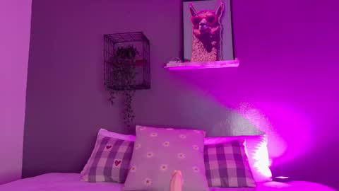 TAYLOR  online show from 11/18/25, 11:47