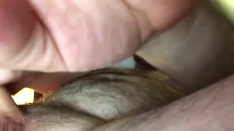 Tbiz82 online show from 02/27/25, 05:24