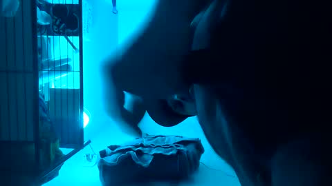 Snapshot of tboy833 chatting on 02/14/25, 02:39 Luis online show from 02/14/25, 02:39