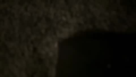 td 78 online show from 01/12/25, 04:31