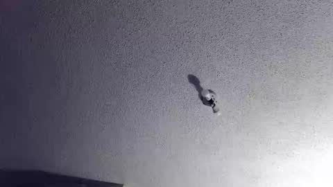 Snapshot of technosex14 chatting on 11/20/25, 03:28 technosex14 online show from 11/20/25, 03:28