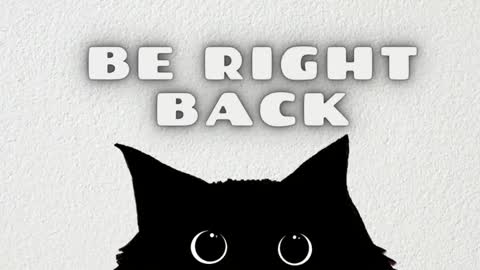 Ted online show from 01/09/26, 07:48