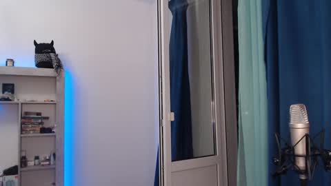 Teddy online show from 12/18/24, 06:57