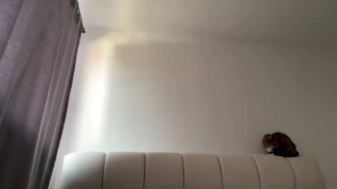 Amy No penetration Virgiin giirl online show from 04/10/26, 01:05