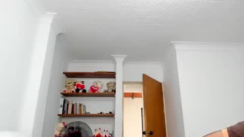 Snapshot of teles10 chatting on 02/03/25, 01:30 Teles2023 online show from 02/03/25, 01:30