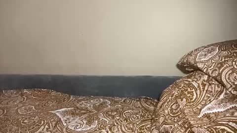 Ariana online show from 03/06/26, 05:09