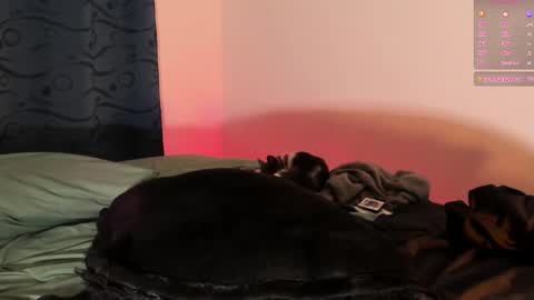 Snapshot of teo_369 chatting on 03/01/25, 09:15 Teo online show from 03/01/25, 09:15