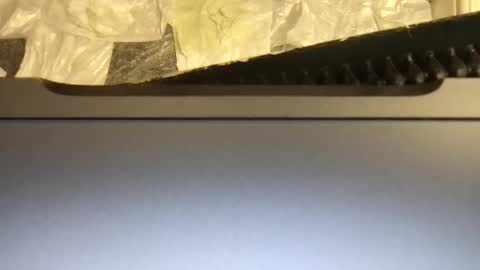 Terence online show from 11/09/25, 04:55