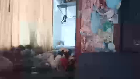 Terra Elowen online show from 03/20/26, 01:27