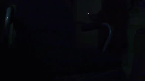 tetuo2 online show from 09/28/25, 09:36