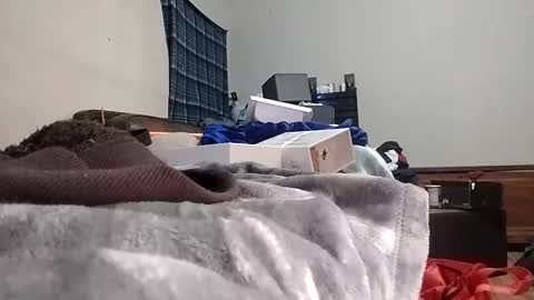 TexasDick online show from 01/24/25, 07:30