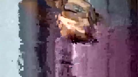 TexasDick online show from 11/16/25, 01:55