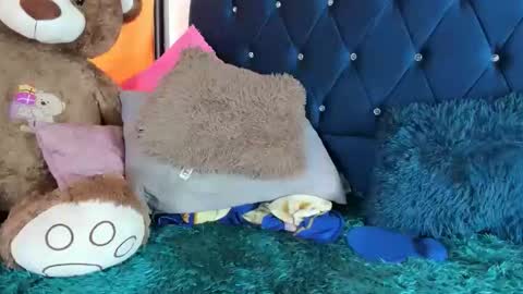 thania      sometimes in the company of Alan and Maria online show from 01/11/26, 06:24