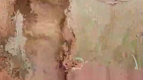 the1st_play_girl online show from 12/30/24, 06:27