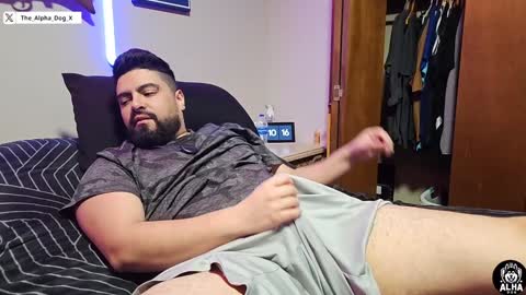 Snapshot of the_alpha_dog_xxx chatting on 12/06/24, 04:14 the_alpha_dog_xxx online show from 12/06/24, 04:14