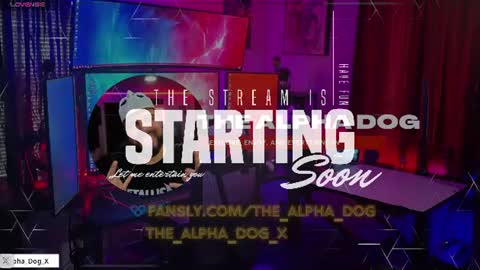 Snapshot of the_alpha_dog_xxx chatting on 06/29/26, 03:23 the_alpha_dog_xxx online show from 06/29/26, 03:23