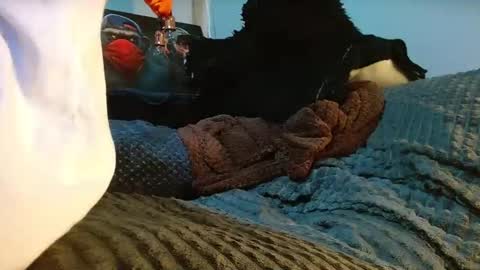 GIORGGIO online show from 04/10/26, 12:38