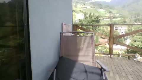 walkers online show from 04/24/26, 02:19